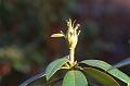 T-20150308-143606_IMG_9213-7a aa